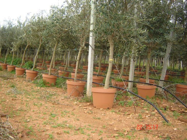IMAGE3